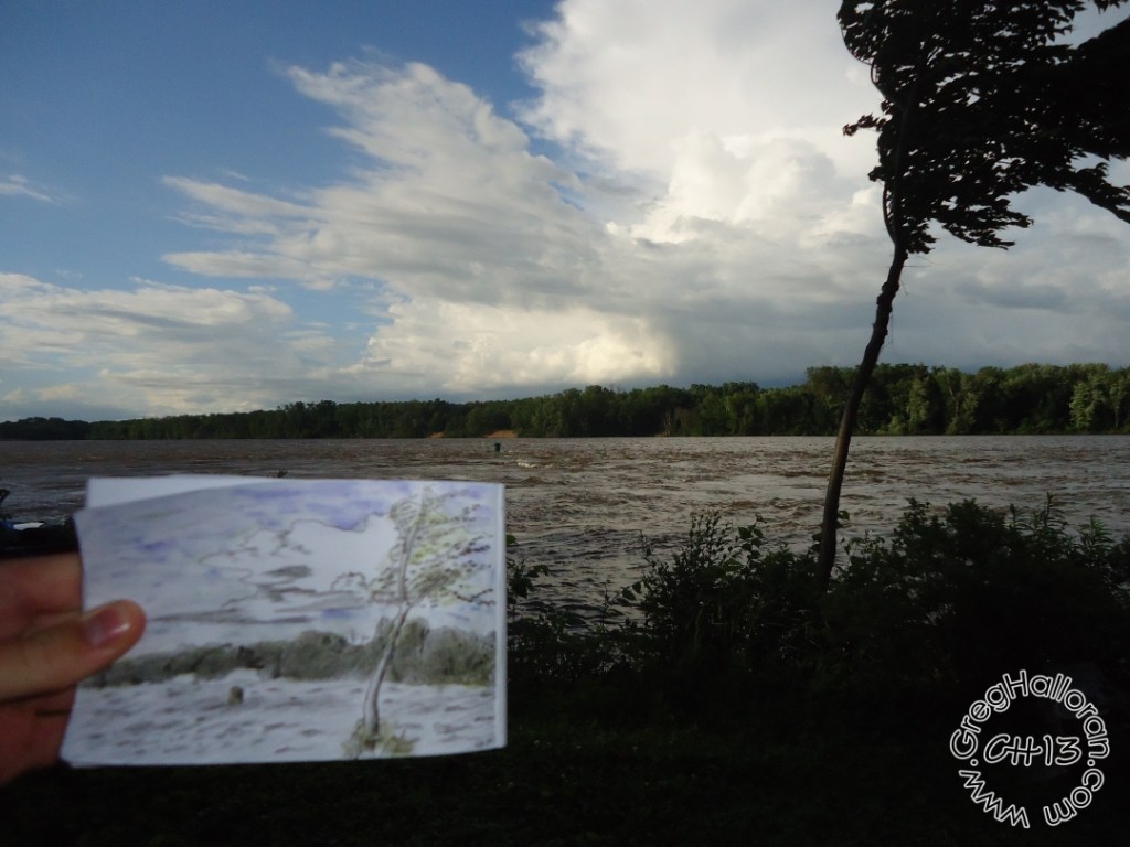 Even after the storm had passed, the wind was moving this tree like an old flag.